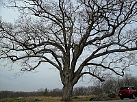 2008 GettysburgCamping-049.JPG